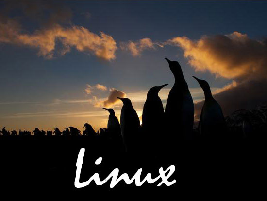 Linux操作系统为何如此深得人心？Linux有哪些特点？