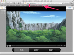 MAC OS X看在线视频时如何将Flash播放换为HTML 5
