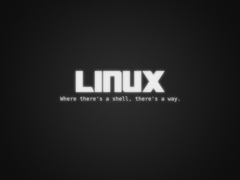 Linux怎么用命令清空Bash环境变量