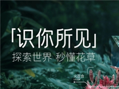 QQ浏览器上线“识你所见”功能:扫一扫识别汽车花草