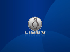在Linux上怎么安装和配置DenyHosts工具
