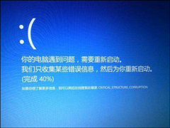 Win10蓝屏错误代码CRITICAL_STRUCTURE_CORRUPTION怎么解决？