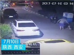 美团回应骑手摔猫事件：已清退并永久加入各大外卖平台黑名单