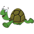 小龟快跑