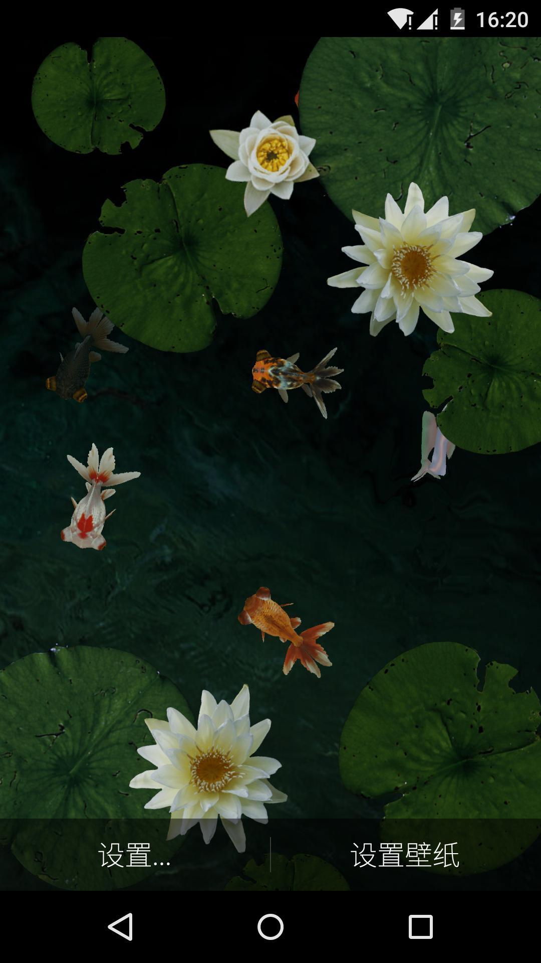 3D池塘里的金鱼-梦象动态壁纸 v1.2.5
