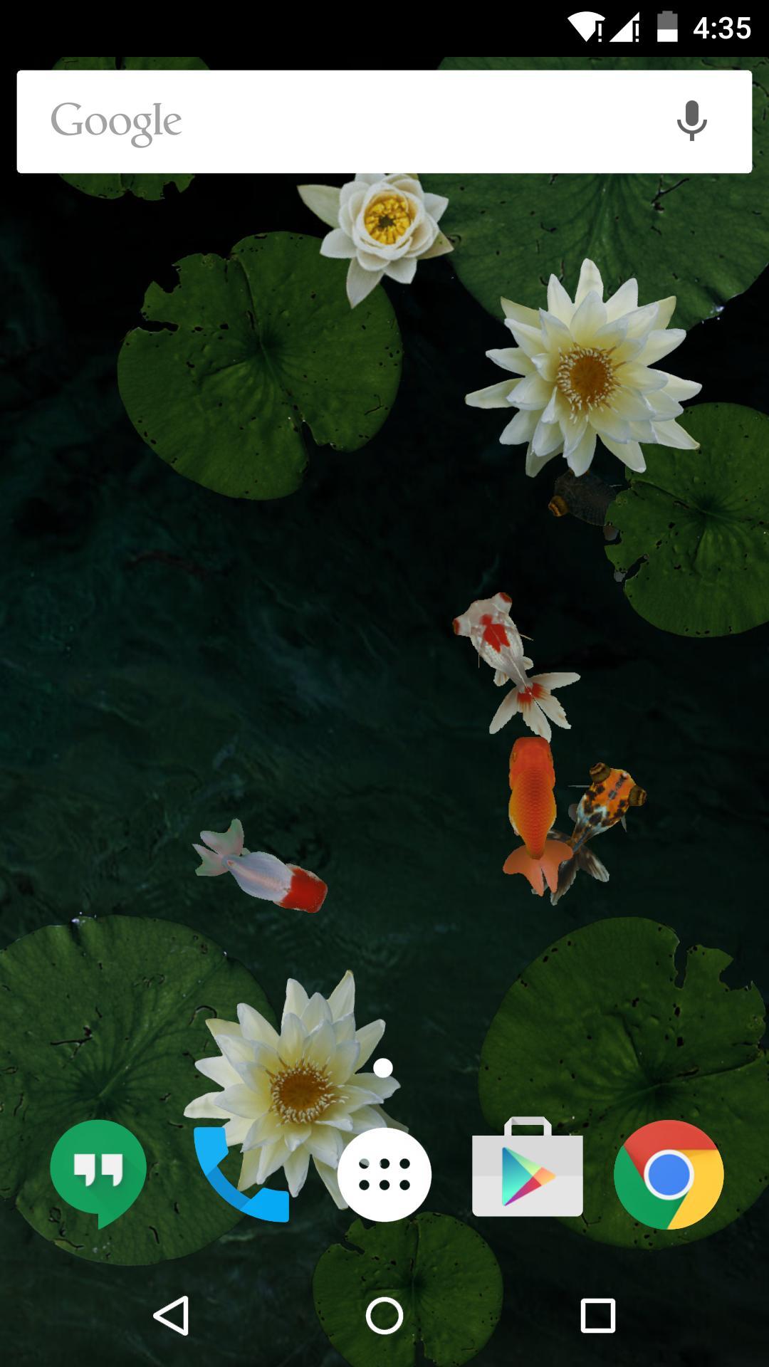 3D池塘里的金鱼-梦象动态壁纸 v1.2.5