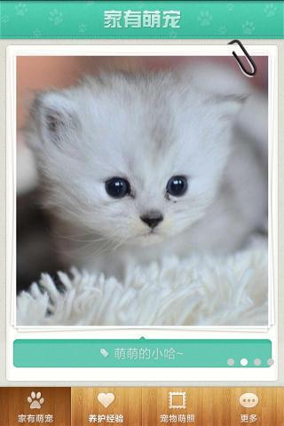 家有萌宠 v3.3