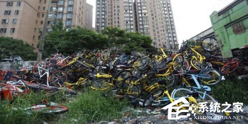 触目惊心！上海惊现共享单车“坟墓”