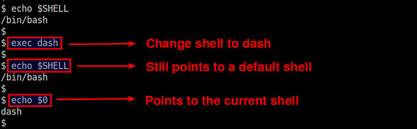 如何查阅Linux系统正在使用的Shell版本？