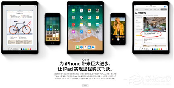 遭中国开发者集体举报！苹果神回应