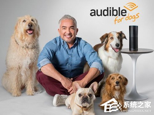 亚马逊为宠物狗推出有声电子书：帮助宠物狗放松