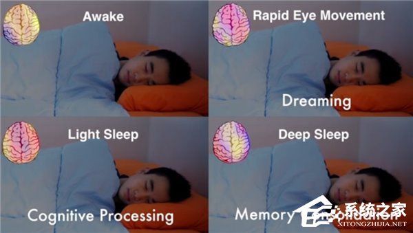 不用穿戴设备？AI算法直接帮你摆脱失眠