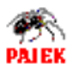 网络分析软件pajek V1.26 绿色版
