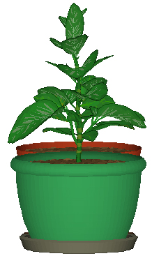DesktopPlant(桌面植物) V3.2.1