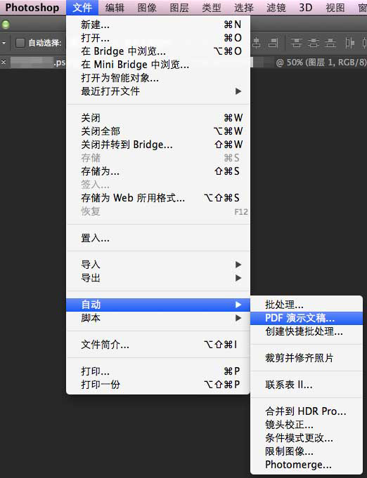 Adobe PhotoShop CS3 V10.0 中文版