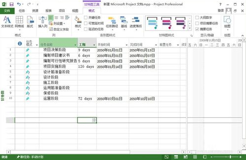 Microsoft Office Project Pro 2007 简体中文版