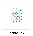 WinXP电脑中的Thumbs.db是什么文件？可以删除吗？