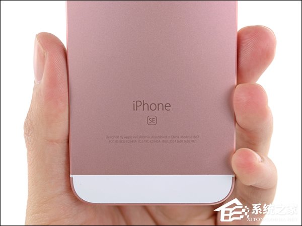 大屏更受青睐！外媒称iPhone SE二代或将流产