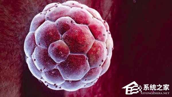 紧跟中国脚步！美国完成首次人类胚胎基因组编辑实验