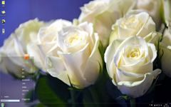 清新唯美的白色玫瑰Win7主题