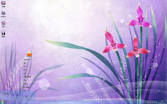 紫光下的清新花卉唯美Win7主题