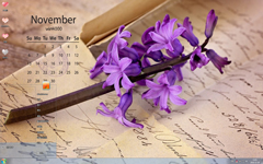 紫色的风信子11月日历Win7主题
