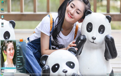 熊猫与娜姐清爽写真Win7主题