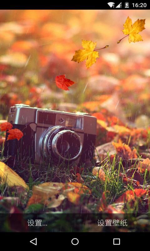 秋的问候-梦象动态壁纸 v1.4.1