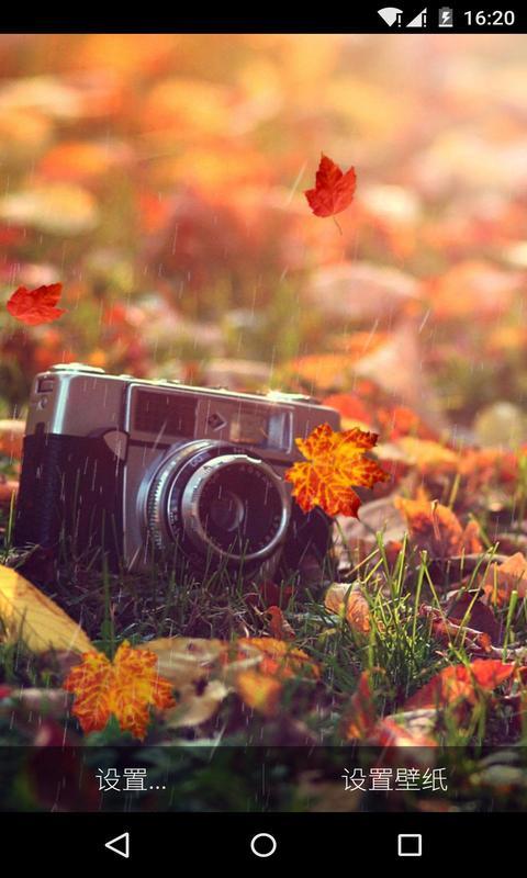 秋的问候-梦象动态壁纸 v1.4.1