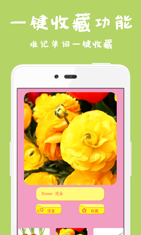 儿童英语卡片 v1.01