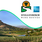 Stellenbosch Wine Routes