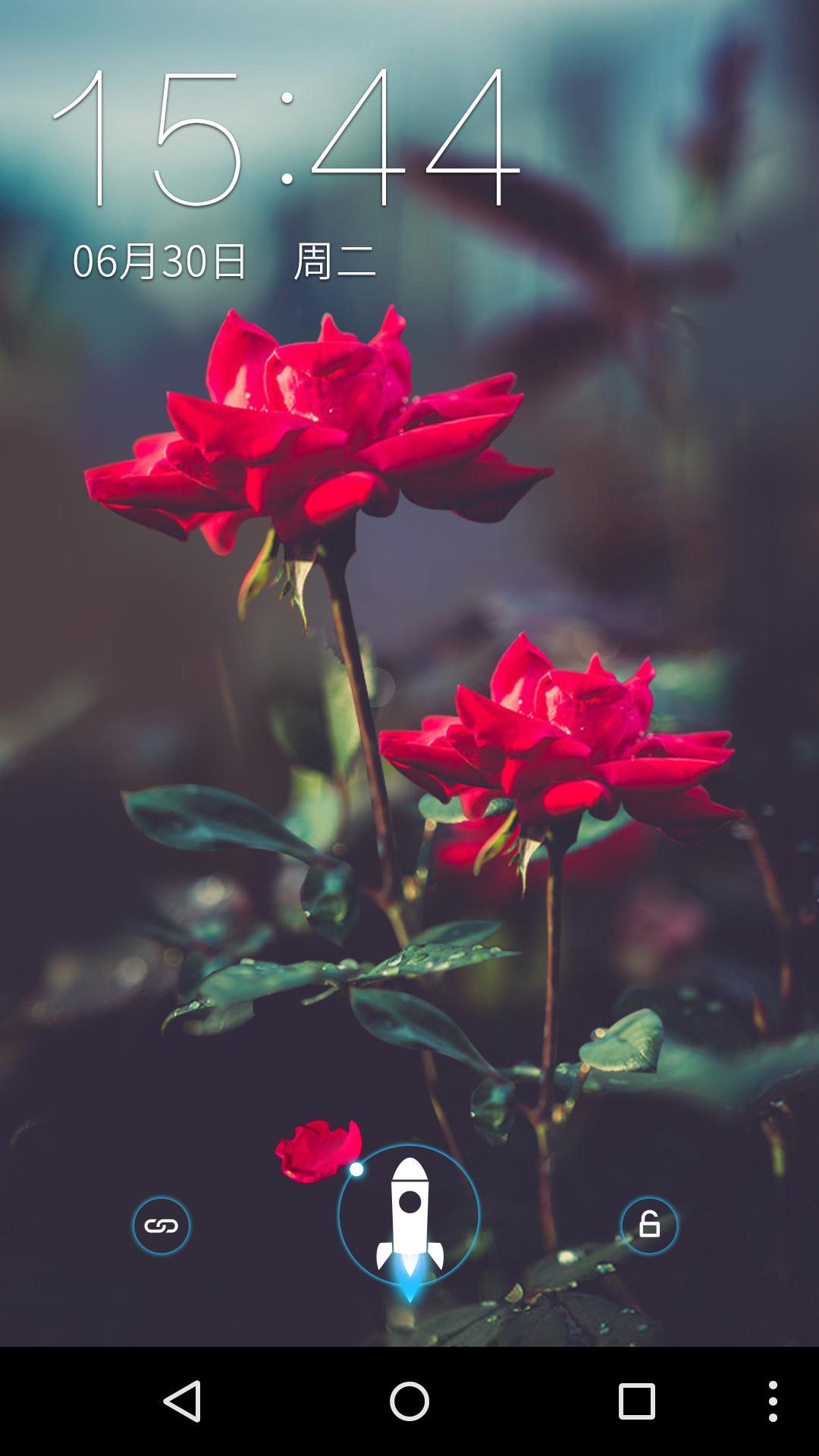 红玫瑰-梦象动态壁纸 v1.4.1