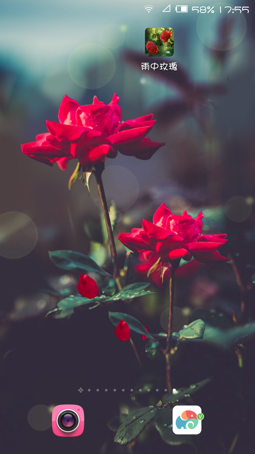 红玫瑰-梦象动态壁纸 v1.4.1