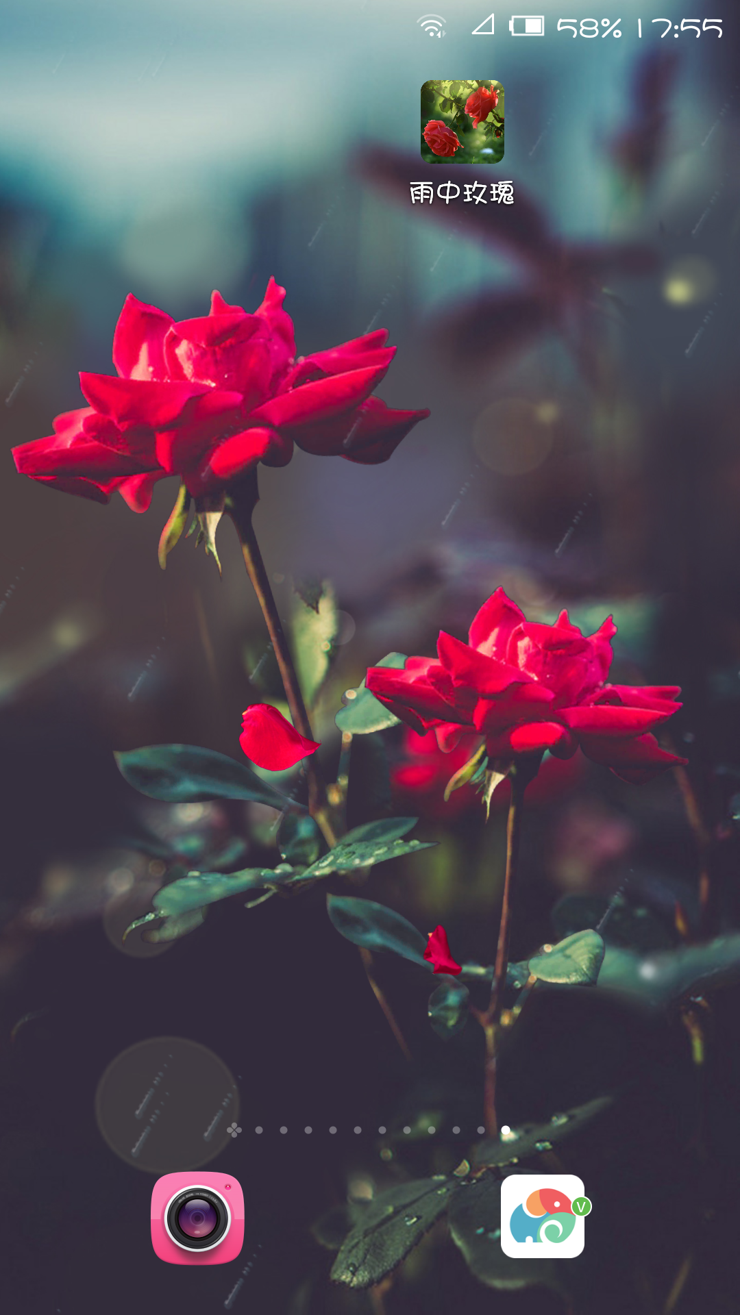 红玫瑰-梦象动态壁纸 v1.4.1