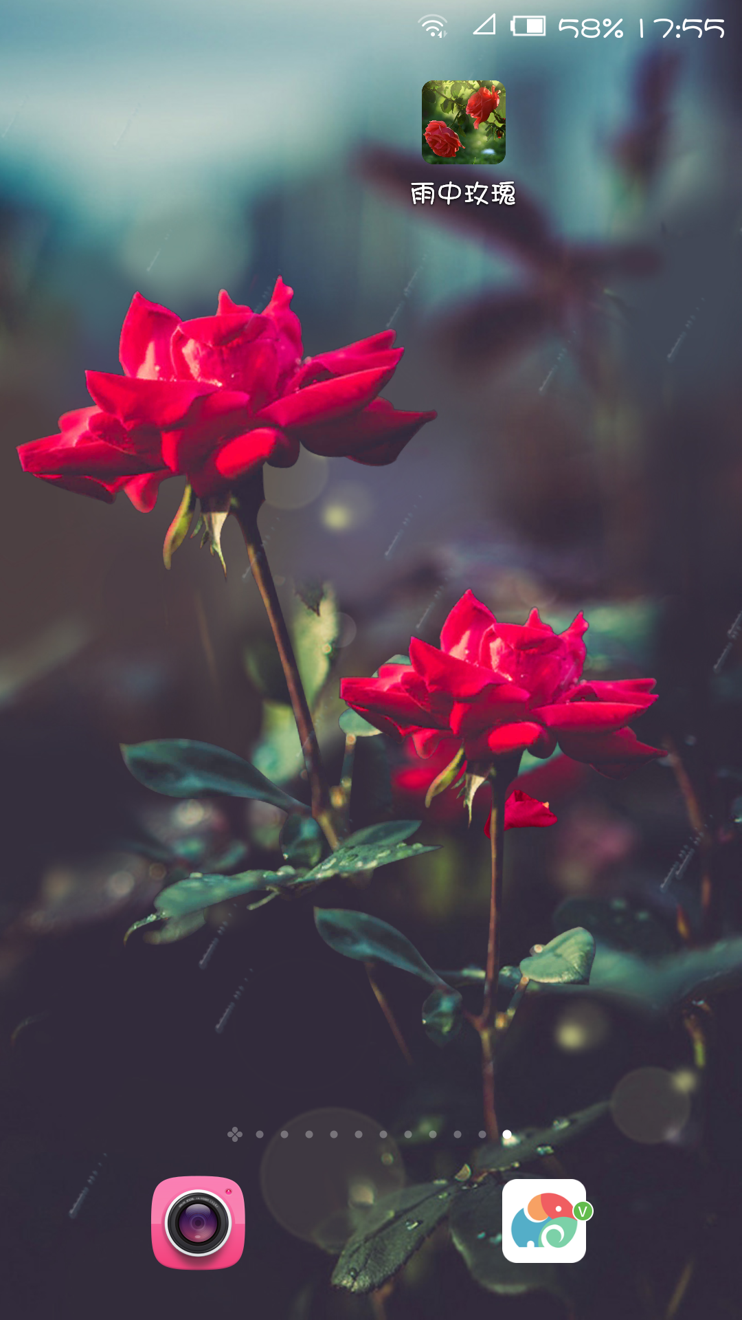 红玫瑰-梦象动态壁纸 v1.4.1