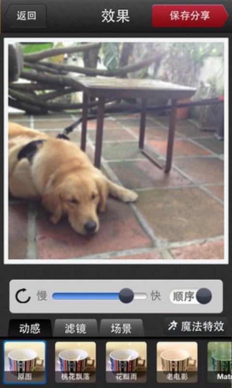 玩图GIF v1.1