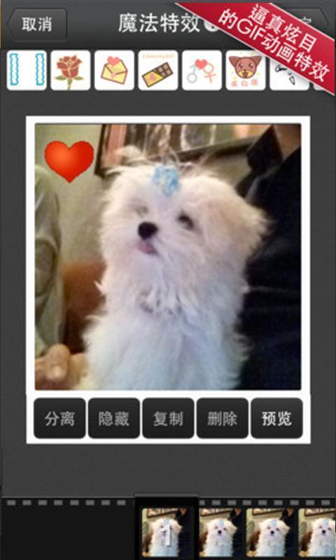 玩图GIF v1.1