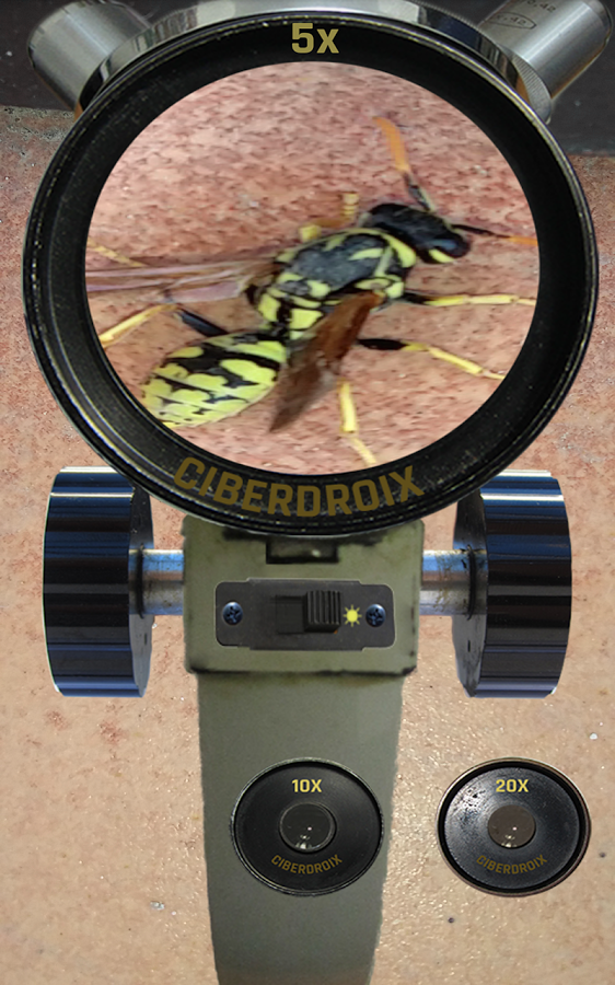 显微镜现实 v1.4