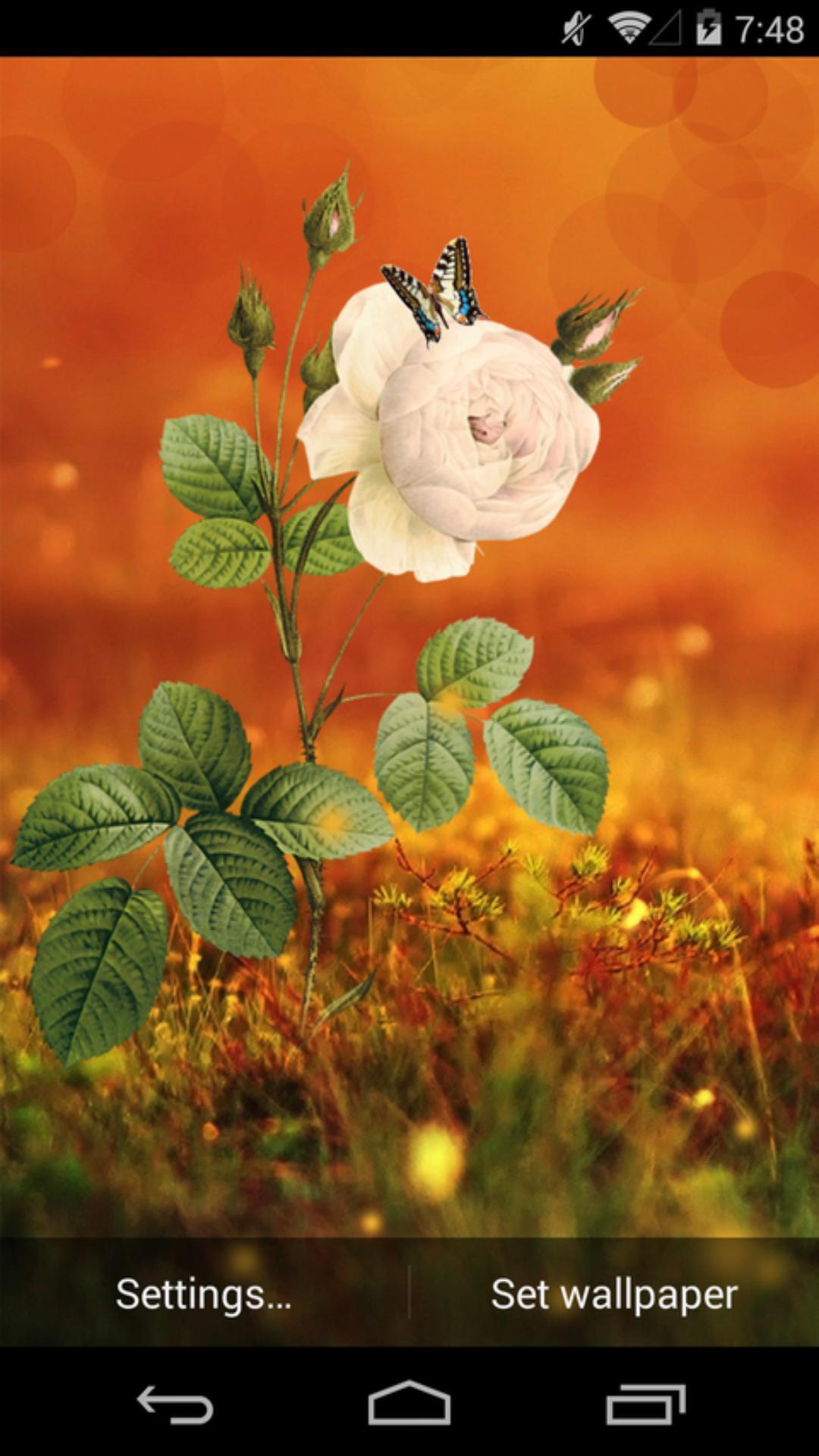 一枝独秀-梦象动态壁纸 v1.4.1