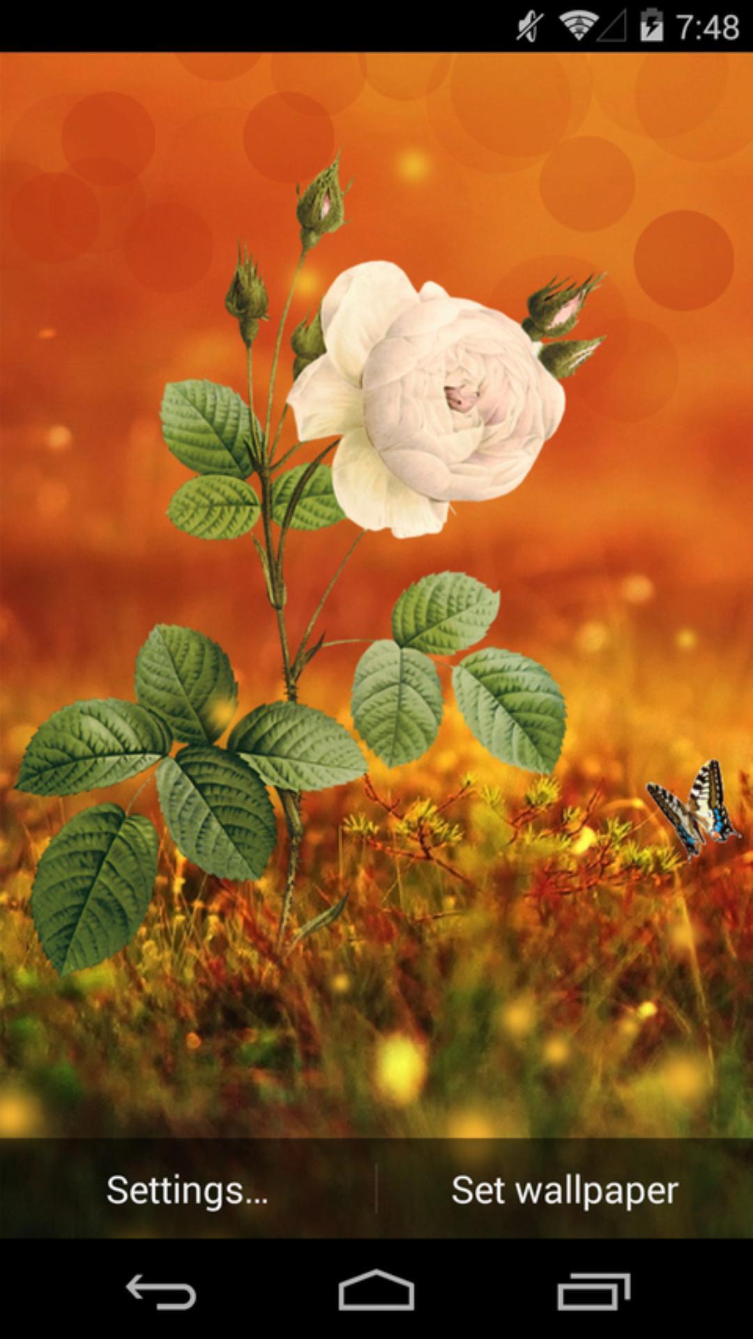 一枝独秀-梦象动态壁纸 v1.4.1