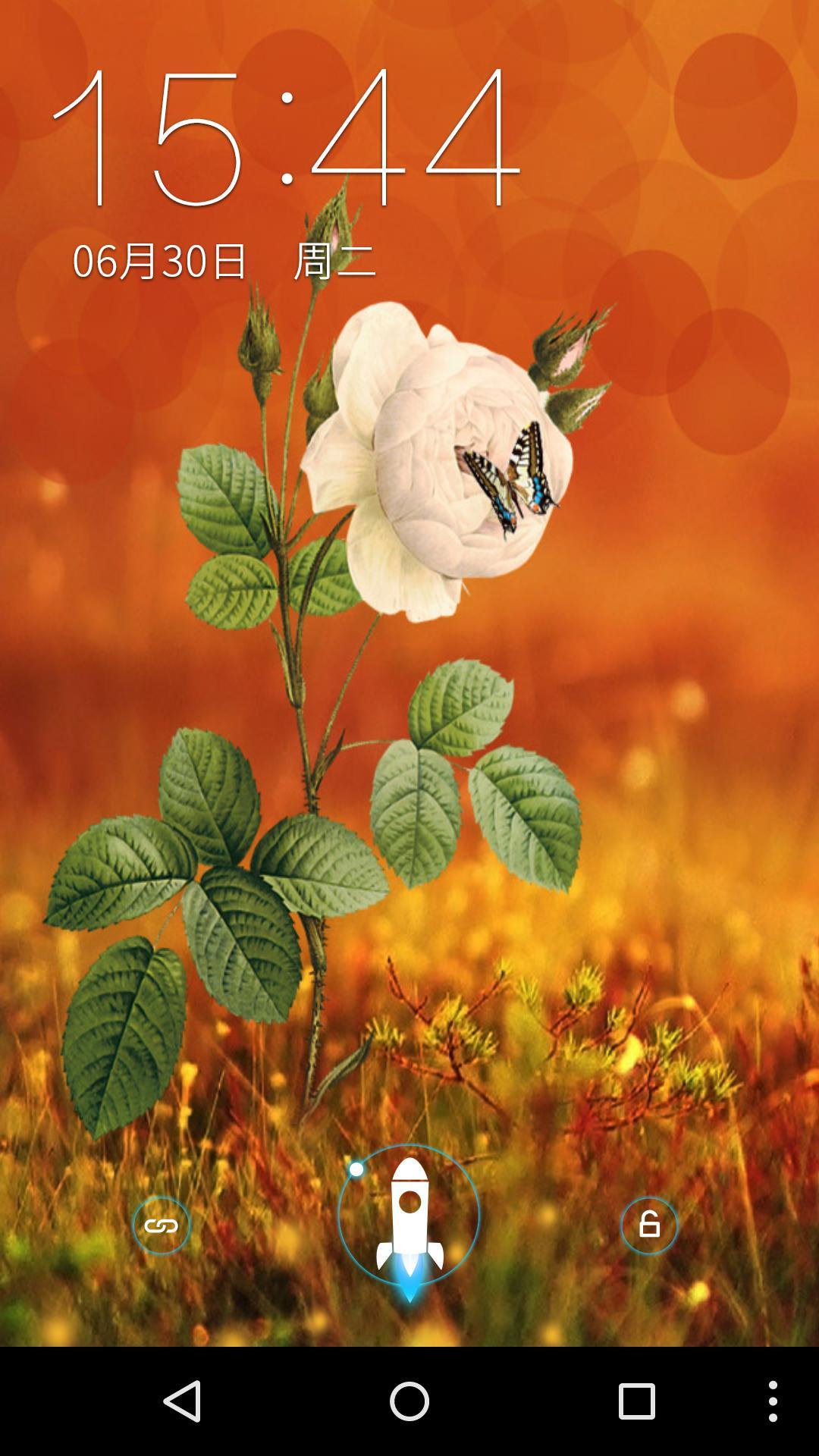 一枝独秀-梦象动态壁纸 v1.4.1