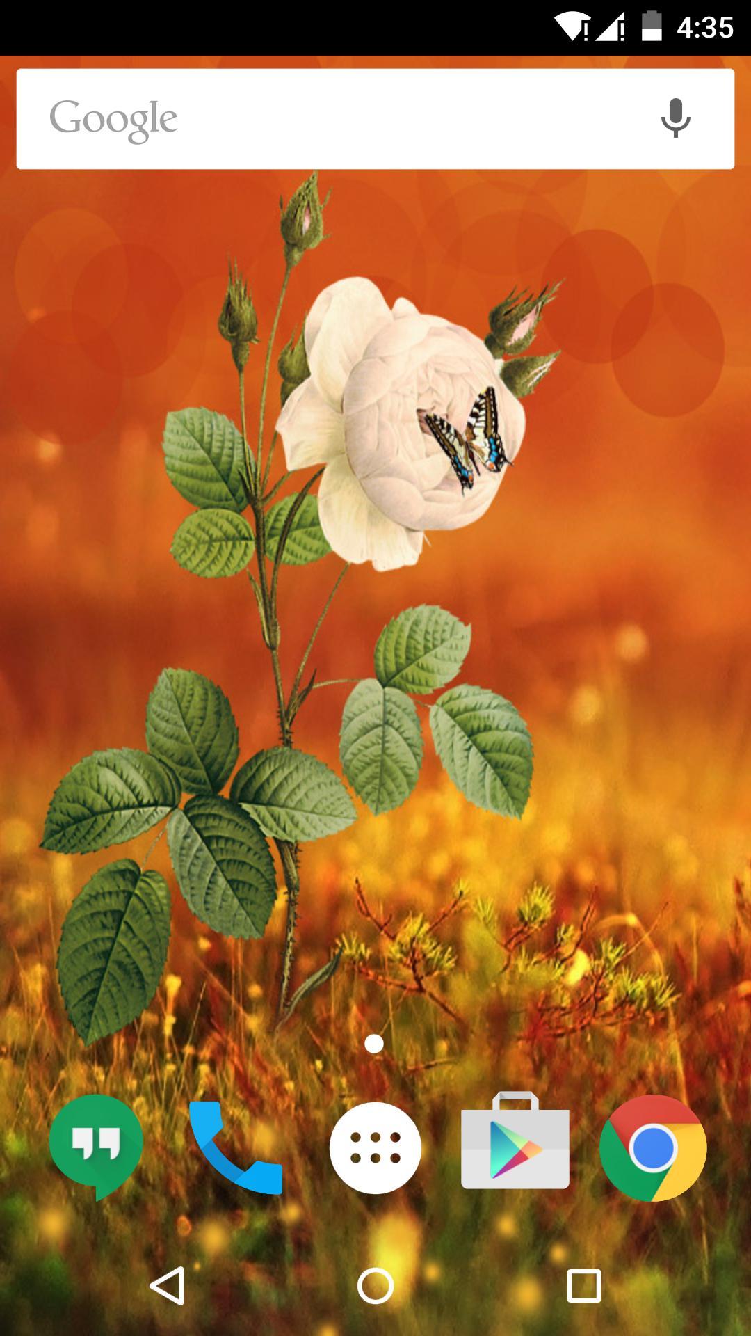 一枝独秀-梦象动态壁纸 v1.4.1