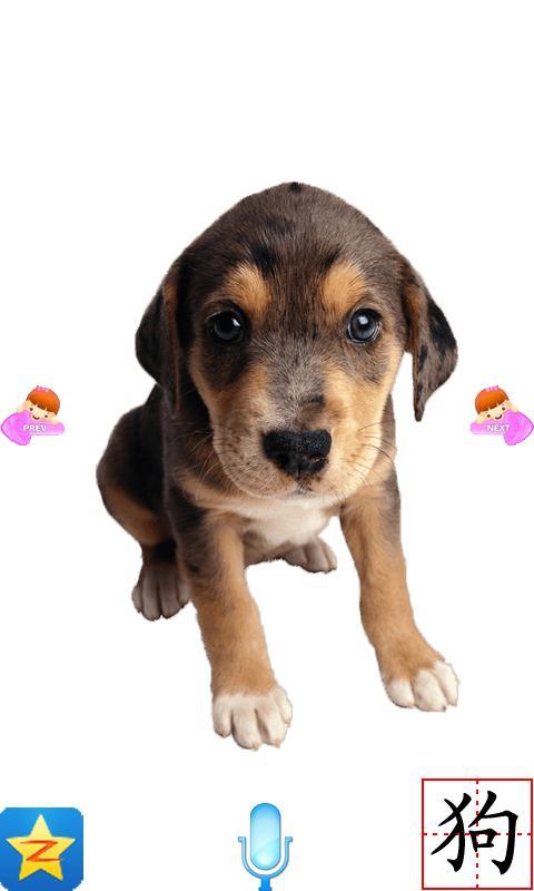 宝宝早教机 v8.9