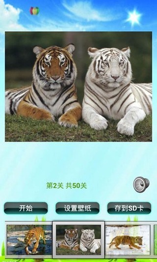 老虎拼图儿童游戏 v5.0