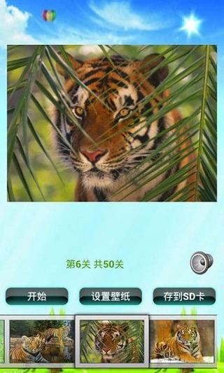 老虎拼图儿童游戏 v5.0