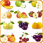 启蒙教育之学水果