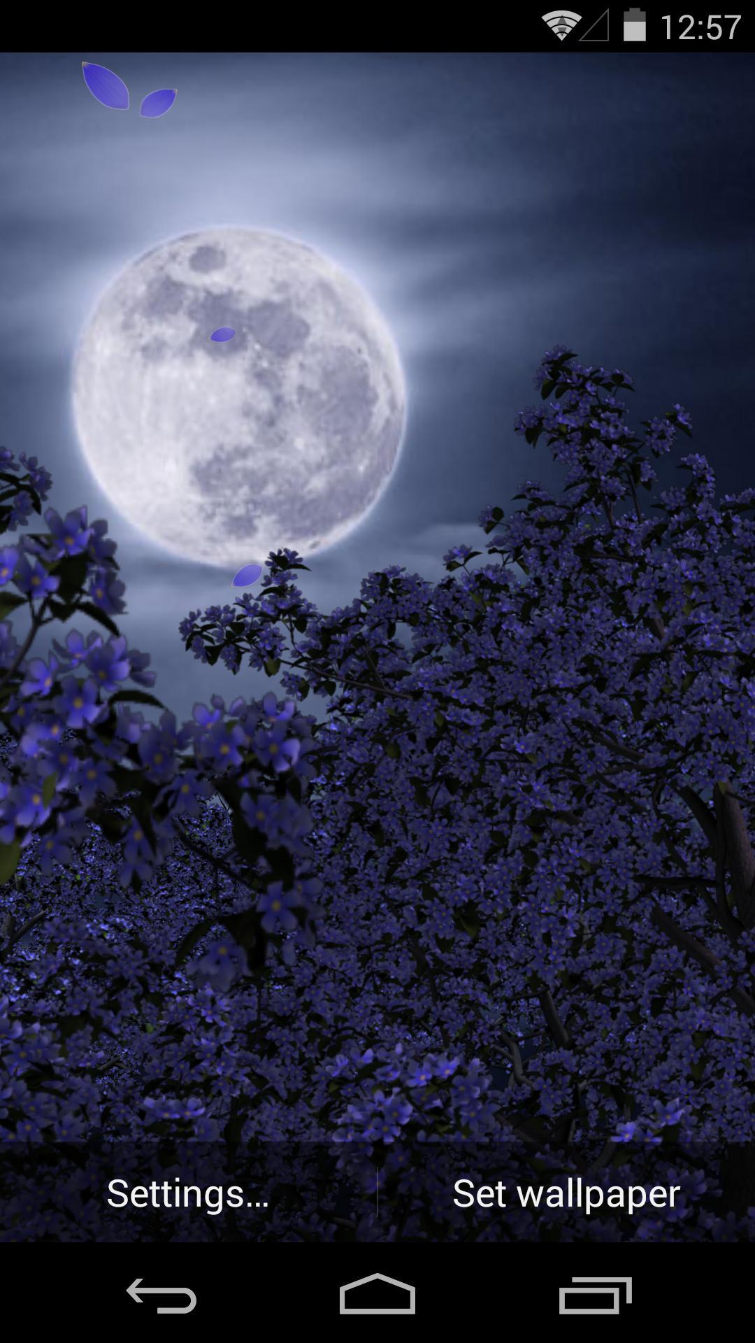 3D花月祭-梦象动态壁纸 v1.2.4