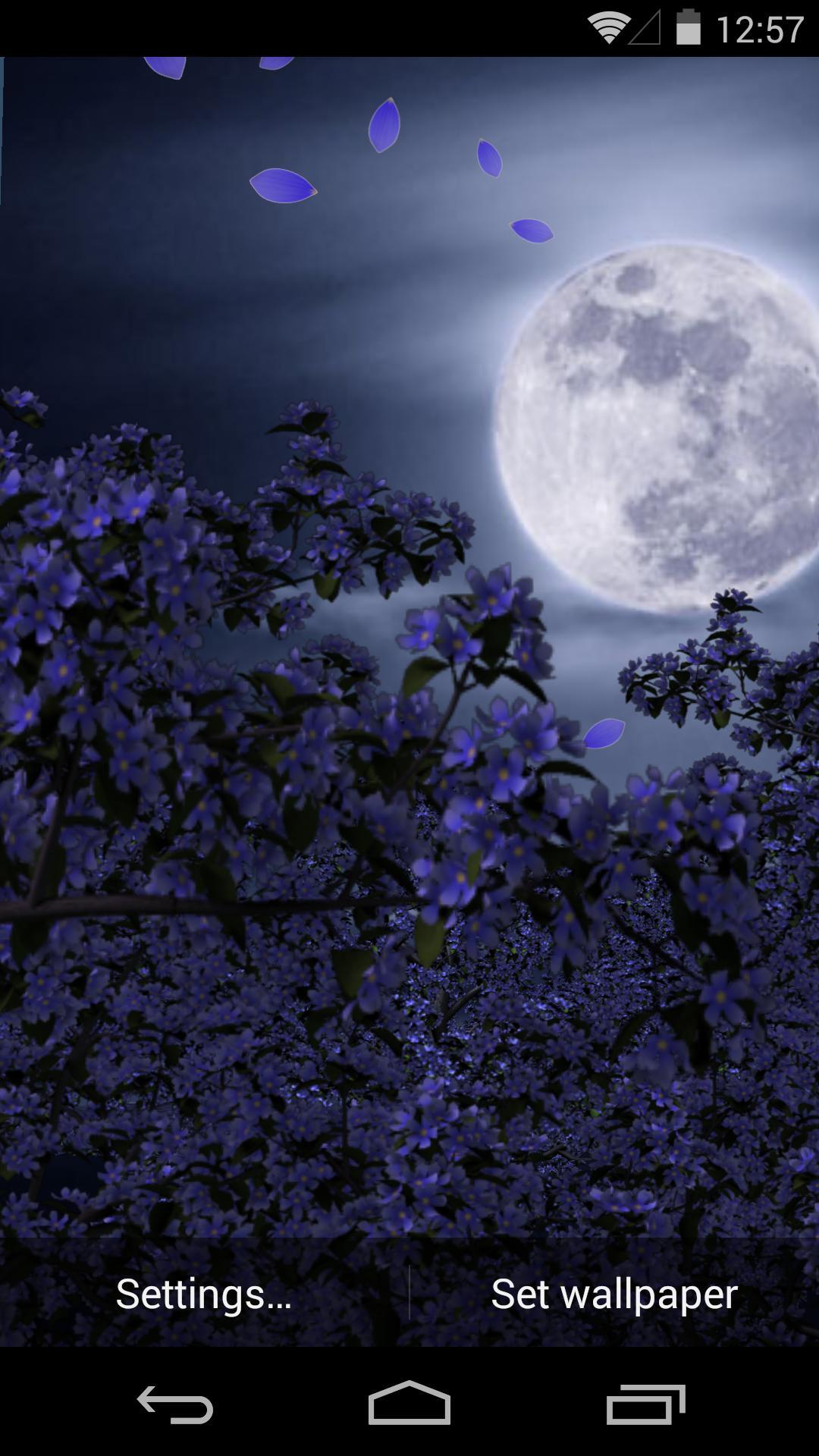 3D花月祭-梦象动态壁纸 v1.2.4