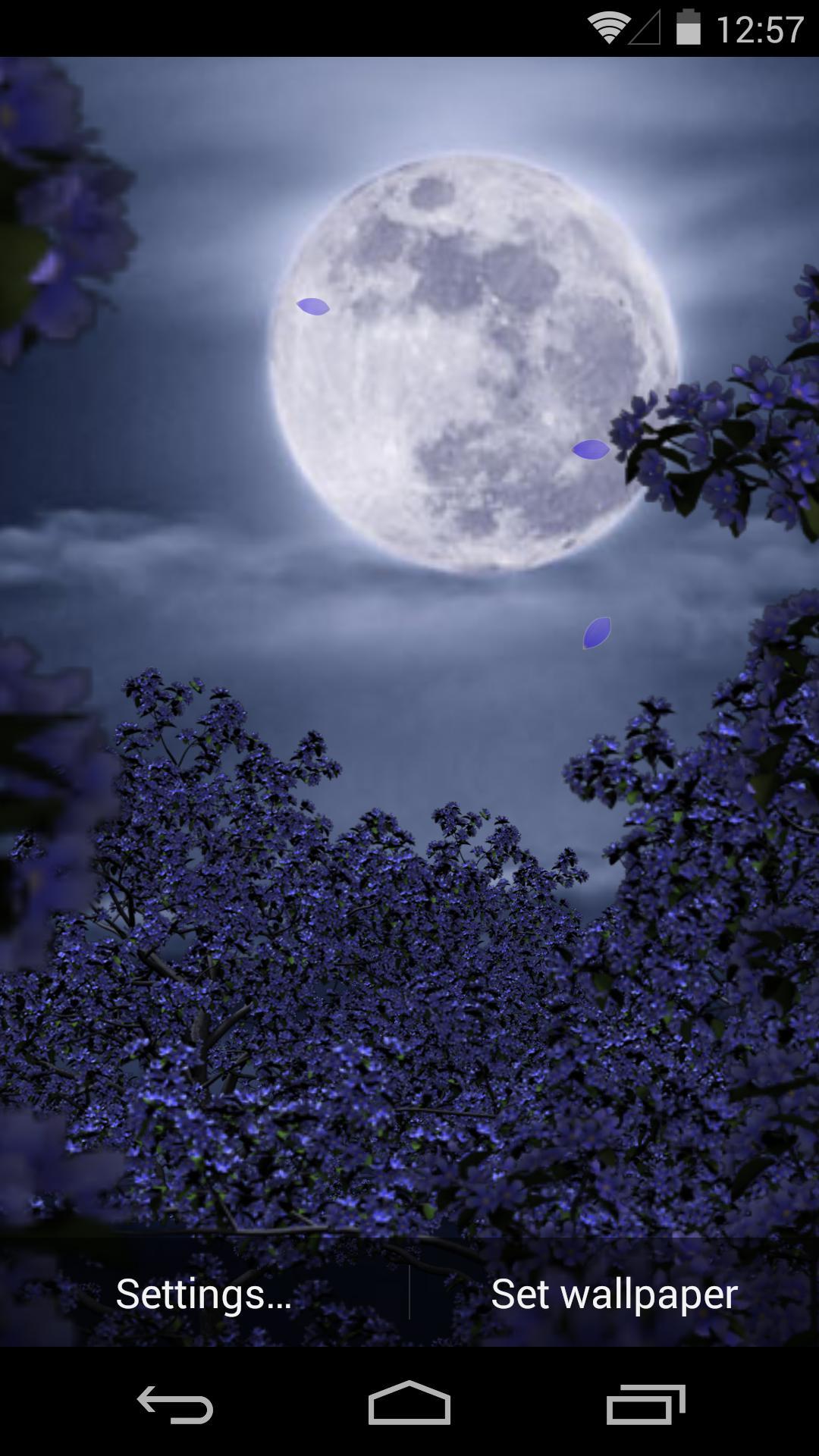 3D花月祭-梦象动态壁纸 v1.2.4