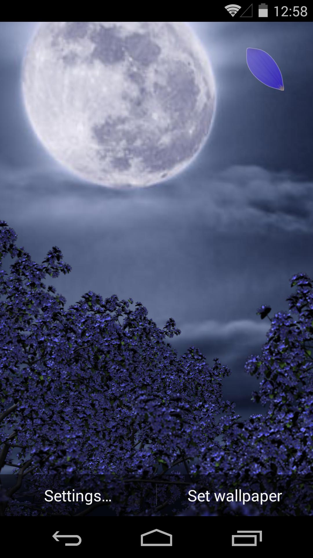 3D花月祭-梦象动态壁纸 v1.2.4